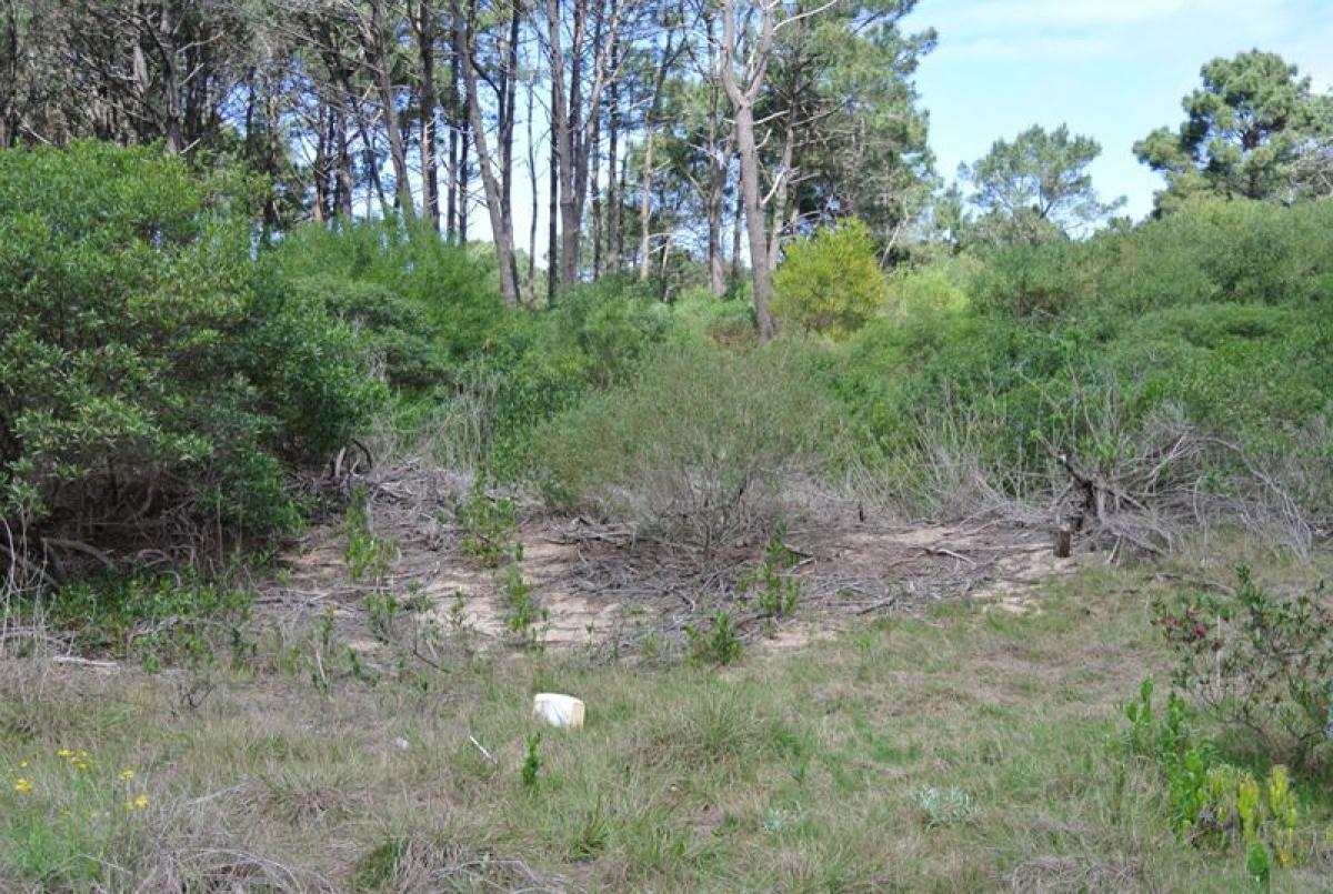 Terrain à Maldonado, Uruguay No. 14054