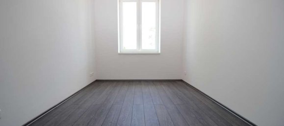 4 bedrooms Apartment in Potsdam-Mittelmark, Germany No. 66354 22