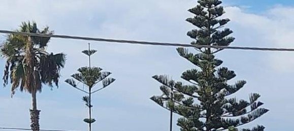 4غرفة شقة في Bordighera, Italy رقم 36351 5