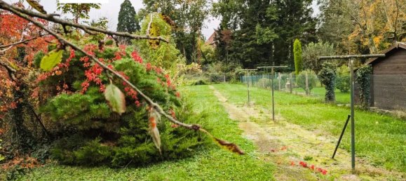 Дом с 5 комнатами в Агно, Франция № 224879 12