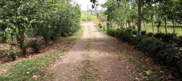 Terreno em Alajuela, Costa Rica N.º 1936 5