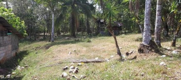 Terreno em Alajuela, Costa Rica N.º 1936 4