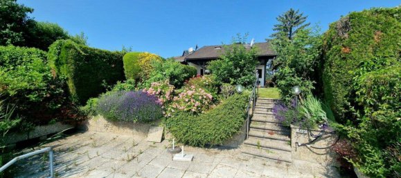 3 rooms House in Munchendorf, Austria No. 120965 6