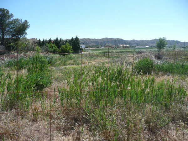  Land in Alfajarin, Spain No. 64142