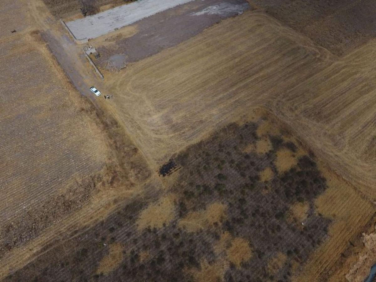 Terrain à Mexico No. 203521