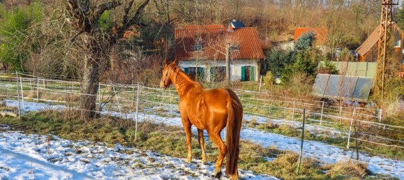 3 bedrooms House in Saxony, Germany No. 162706 12