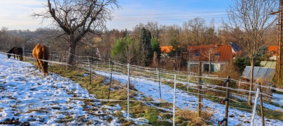 3 bedrooms House in Saxony, Germany No. 162706 13