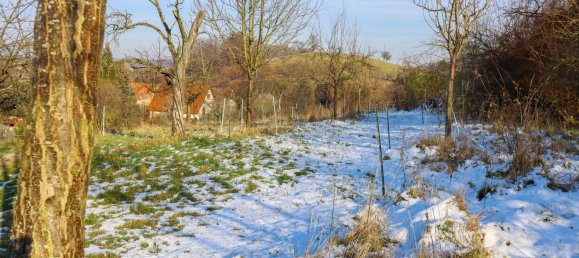 3 bedrooms House in Saxony, Germany No. 162706 10