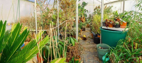 3 bedrooms House in Saxony, Germany No. 162706 42