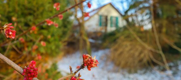 3 bedrooms House in Saxony, Germany No. 162706 15