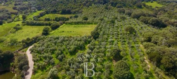 4 chambres Villa à Palau, Italy No. 19383 8