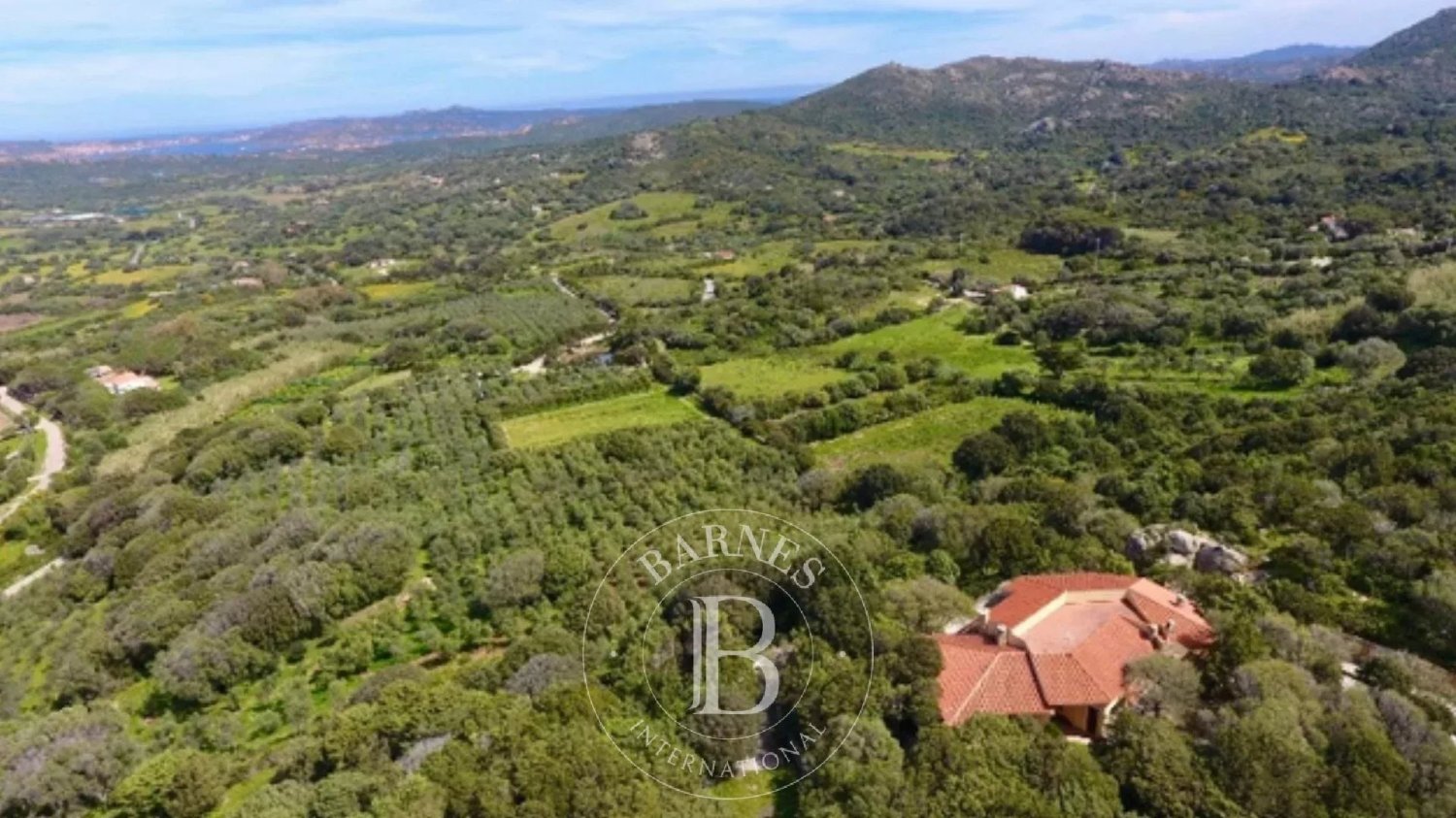 4 chambres Villa à Palau, Italy No. 19383