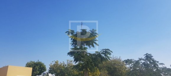 1175.9m² Land in Deira, UAE No. 8006 3