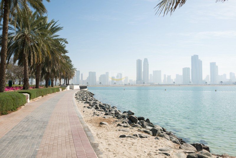 1175.9m² Land in Deira, UAE No. 8006