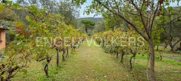 Casa T6 em Cortona, Italy N.º 63297 13