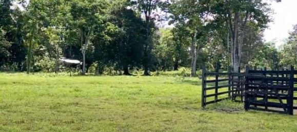 Terreno em Limon, Costa Rica N.º 1601 3