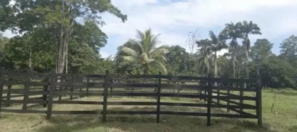 Terreno em Limon, Costa Rica N.º 1601 2