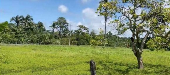 Terreno em Limon, Costa Rica N.º 1601 4