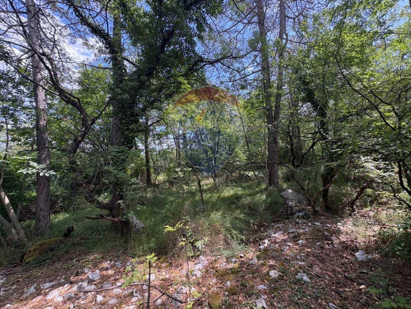 Земельный участок 8589м² в Триест, Италия № 265342