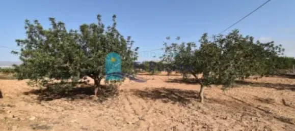 3 bedrooms House in Fuente Alamo, Spain No. 98537 38