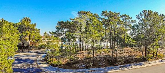 5 Schlafzimmer Haus in Grandola, Portugal, Nr. 14760 47