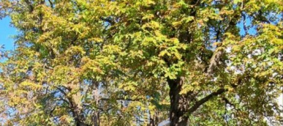 2 chambres Appartement à Trieste, Italy No. 377330 18