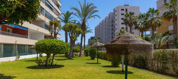 Apartamento de 3 dormitorios en Torrevieja, Spain No. 181513 21