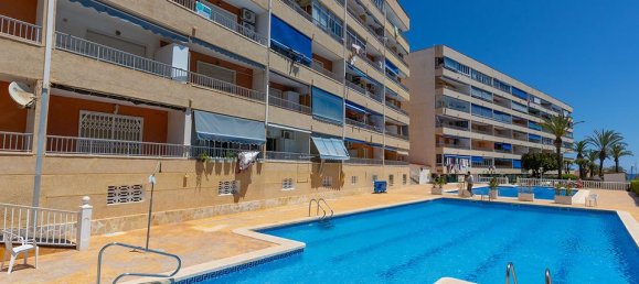 Apartamento de 3 dormitorios en Torrevieja, Spain No. 181513 24