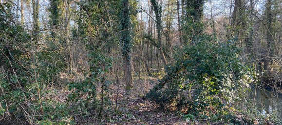 قطعة أرض في Olivet, France رقم 70397 5