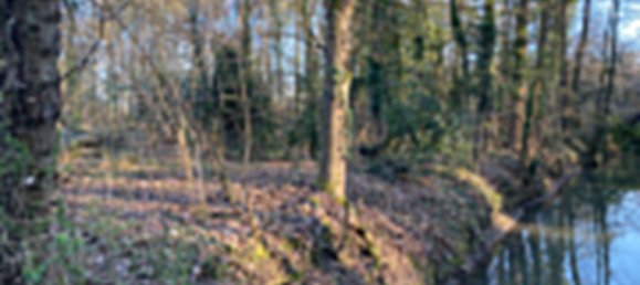 قطعة أرض في Olivet, France رقم 70397 2