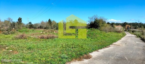 Terrain à Condeixa a Nova, Portugal 15690m² No. 70984 24