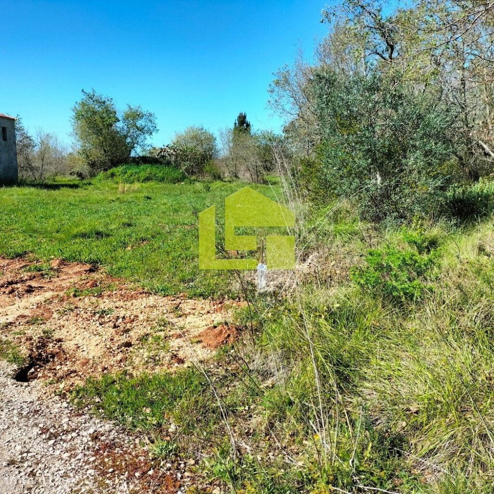 Terrain à Condeixa a Nova, Portugal 15690m² No. 70984