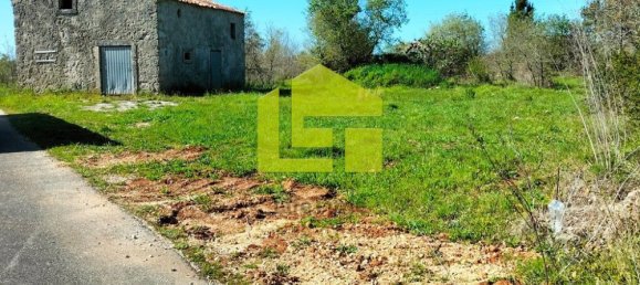 Terrain à Condeixa a Nova, Portugal 15690m² No. 70984 11