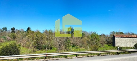 Terrain à Condeixa a Nova, Portugal 15690m² No. 70984 7