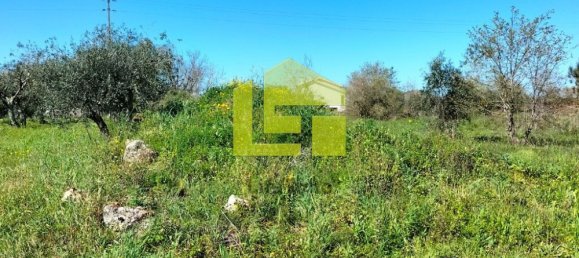 Terrain à Condeixa a Nova, Portugal 15690m² No. 70984 15