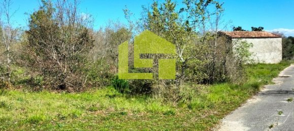 Terrain à Condeixa a Nova, Portugal 15690m² No. 70984 12