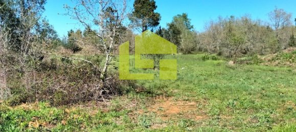 Terrain à Condeixa a Nova, Portugal 15690m² No. 70984 20