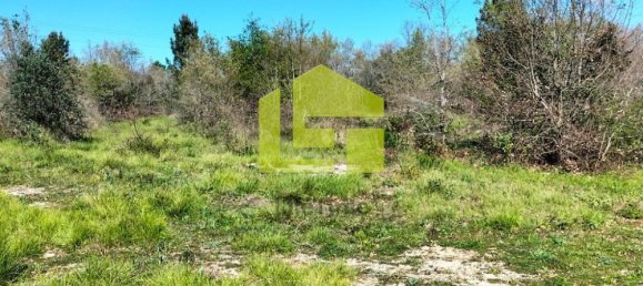 Terrain à Condeixa a Nova, Portugal 15690m² No. 70984 13