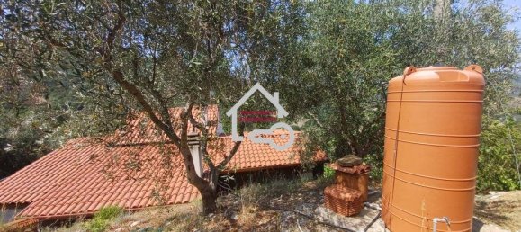 2 bedrooms Villa in Perdifumo, Italy No. 283901 9