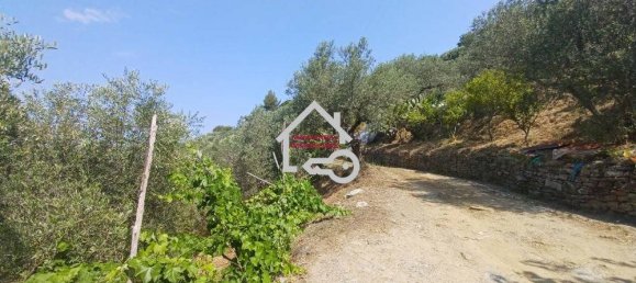 2 bedrooms Villa in Perdifumo, Italy No. 283901 14