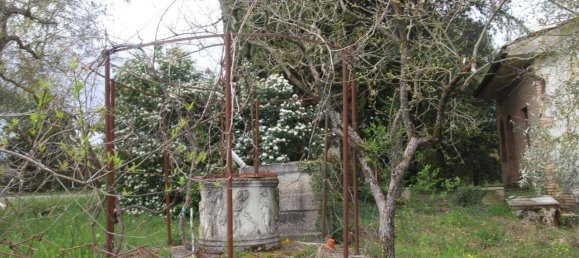 15غرفة فيلا في Monteroni d'Arbia, Italy رقم 66046 3