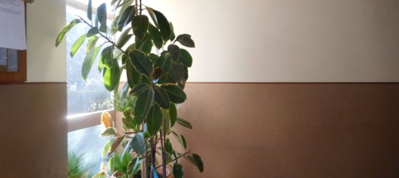 4 rooms Apartment in Formigine, Italy No. 79138 40