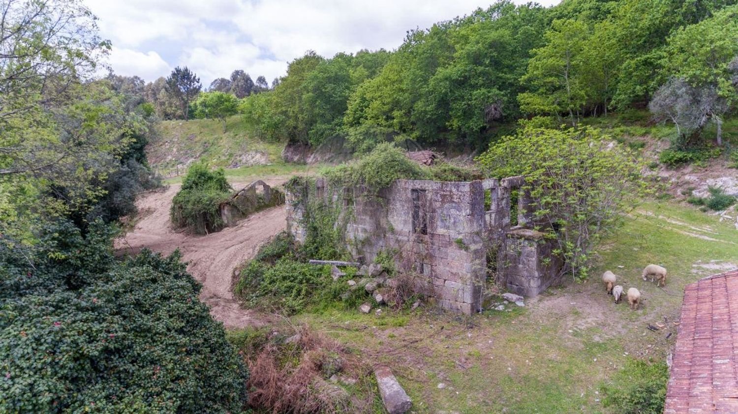 1 bedroom House in Penafiel, Portugal No. 29568