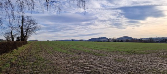 Terrain à Herford, Germany No. 283109 12