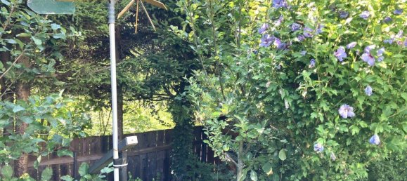 4غرفة تاون هاوس في Hinterbruhl, Austria رقم 219192 5