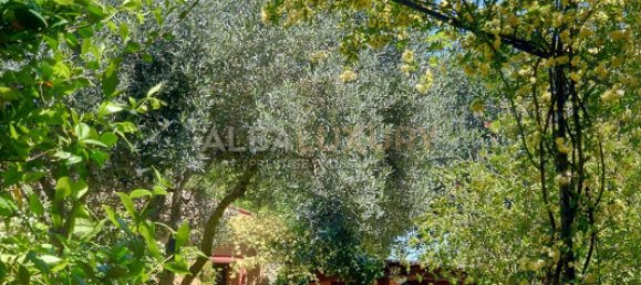 9-salle Maison à Sardinia, Italy No. 245469 7