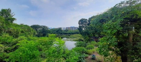 Кафе / ресторан с 4 спальнями в Хуа Хин, Таиланд № 6710 2