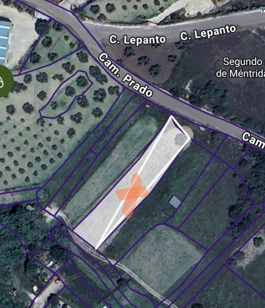  Land in Mentrida, Spain No. 264380