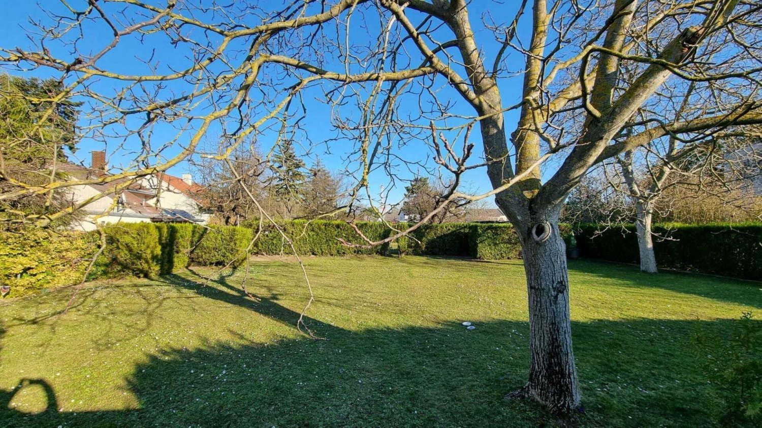  Land in Vienna, Austria No. 133238