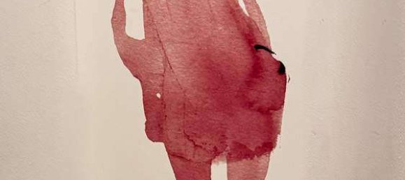 4 bedrooms Villa in Pietrasanta, Italy No. 179423 24